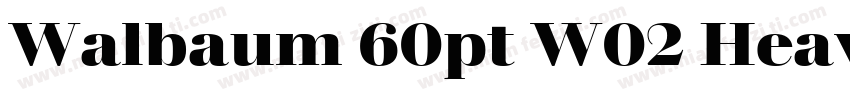 Walbaum 60pt W02 Heavy字体转换